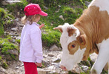 Innerpeintnerhof Kinder und Kühe